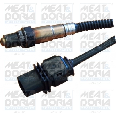 Oxygen Sensor